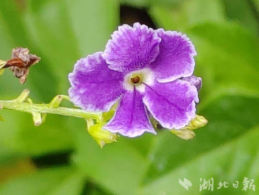 威尼斯国际网址
